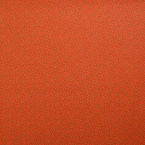 Coton imprimé chemin perdu fond orange