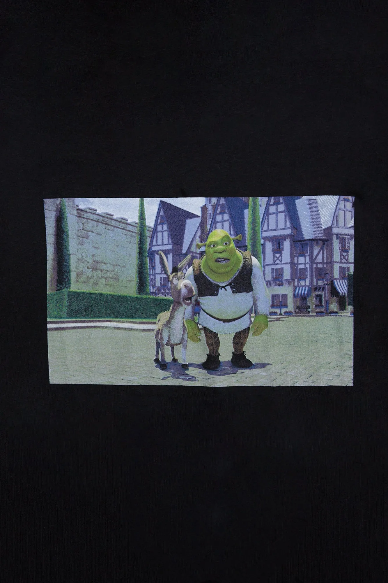 Shrek And Donkey Graphic Relaxed Tee